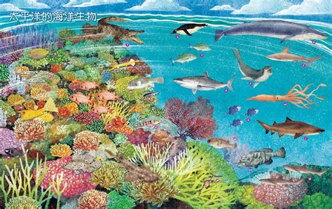 魚的排名|國家地理雜誌